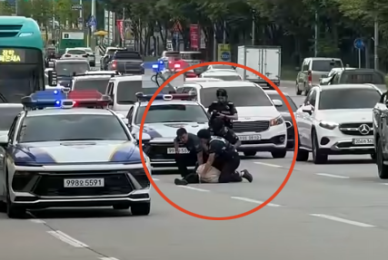 8차선 도로 뛰어들어 주먹질 난동 부린 남성 경찰에 제압