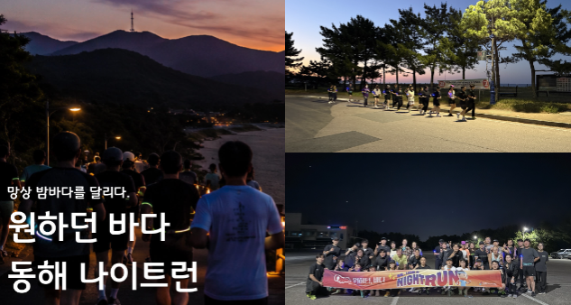 '동해 망상 나이트 런' 28일 개막 - 뉴스 썸네일 이미지