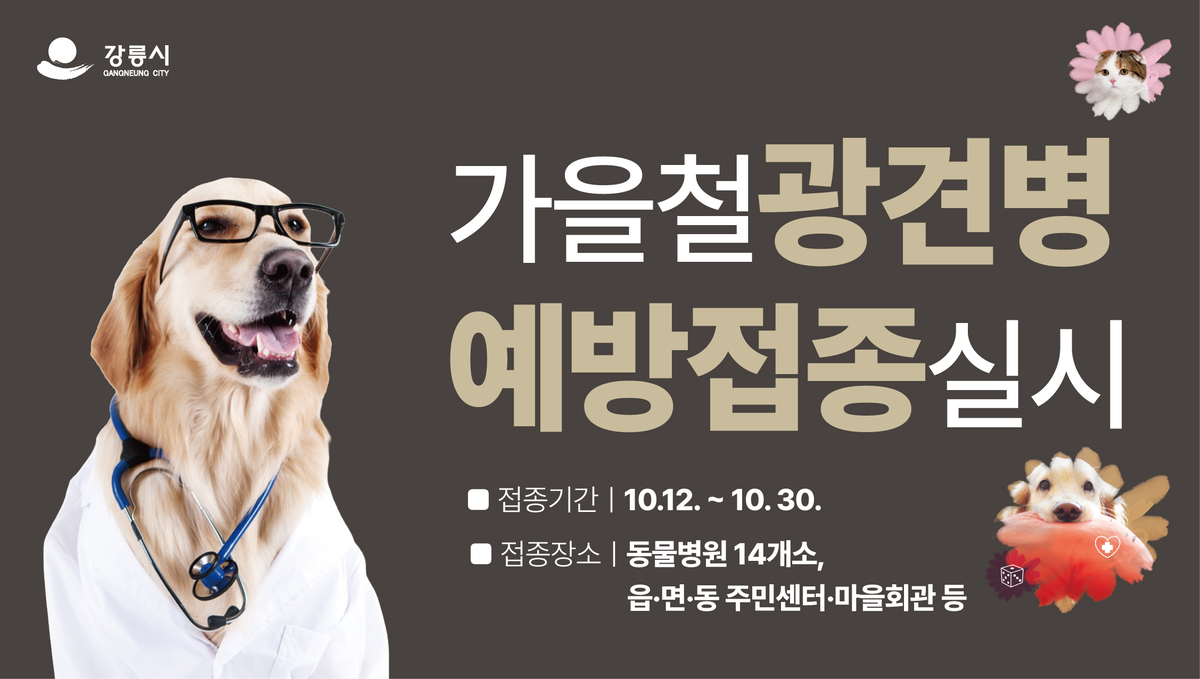 [www.kwnews.co.kr] 강릉시, 광견병 예방접종 실시
