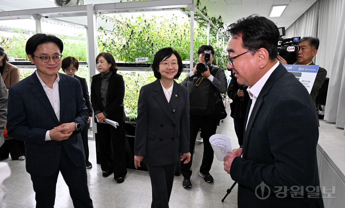 강원 바이오·반도체·청정산업에 5천억 투자⋯김정관 장관 지원 약속 - 뉴스 썸네일 이미지